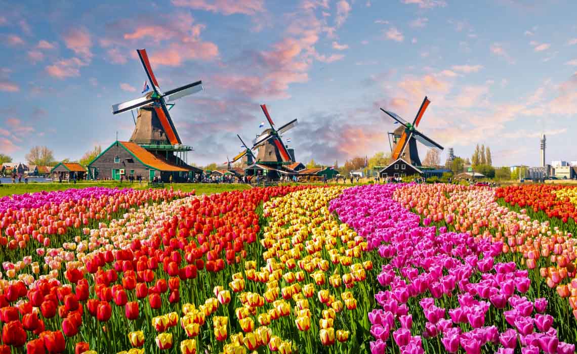 Luxoft Netherlands Zaandam