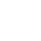 bug icon