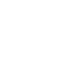 bug icon
