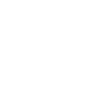 shield icon